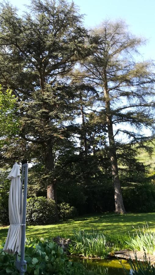 Les Palmiers Bed and Breakfast Mauves Εξωτερικό φωτογραφία