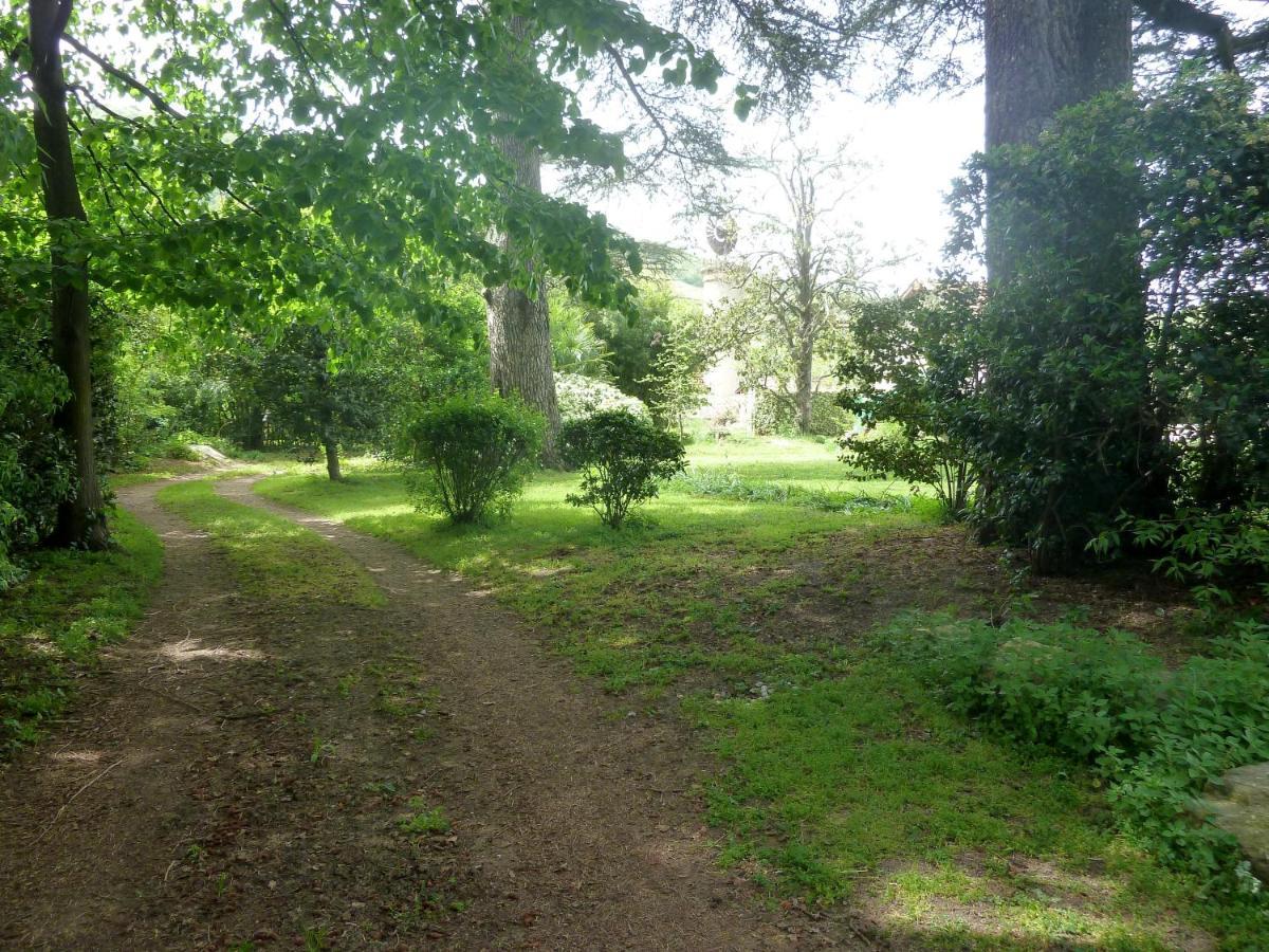 Les Palmiers Bed and Breakfast Mauves Εξωτερικό φωτογραφία
