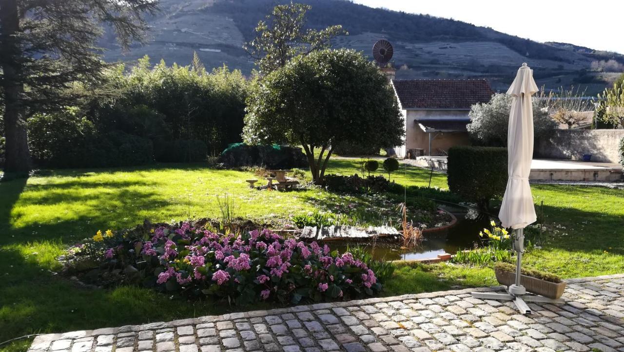 Les Palmiers Bed and Breakfast Mauves Εξωτερικό φωτογραφία